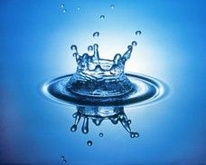 La CLCV claque la porte du Comité national de l&rsquo;eau