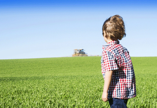 Politiques et pesticides