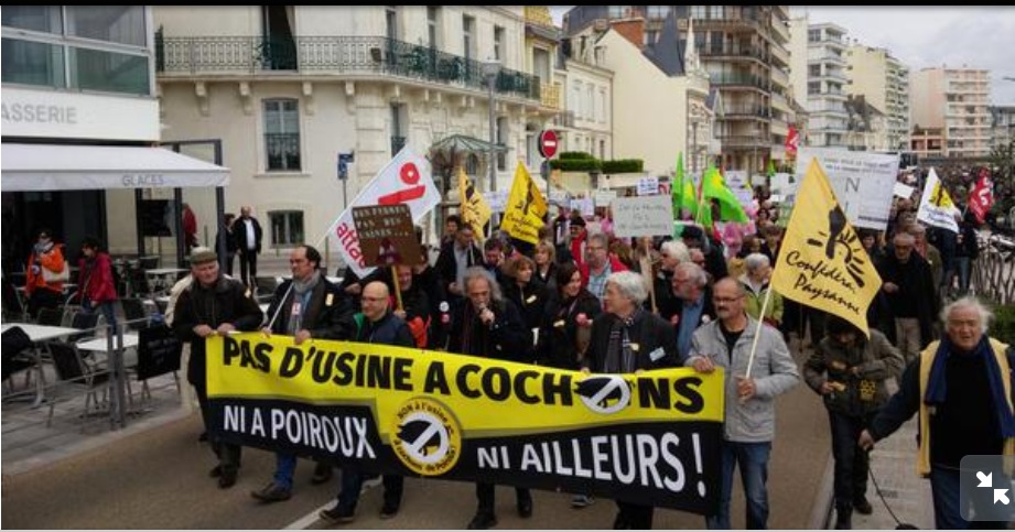 Maternité porcine de Poiroux : la justice ? Qu&rsquo;on en juge.