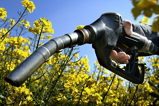 Les agrocarburants pollueraient plus
