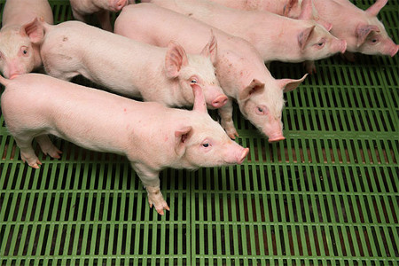 Agriculture : un monde à part