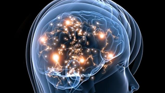 Perturbateurs endocriniens : QI en danger !