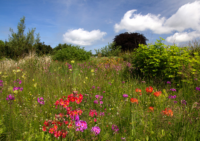 Nouveau : zones prioritaires pour la biodiversité