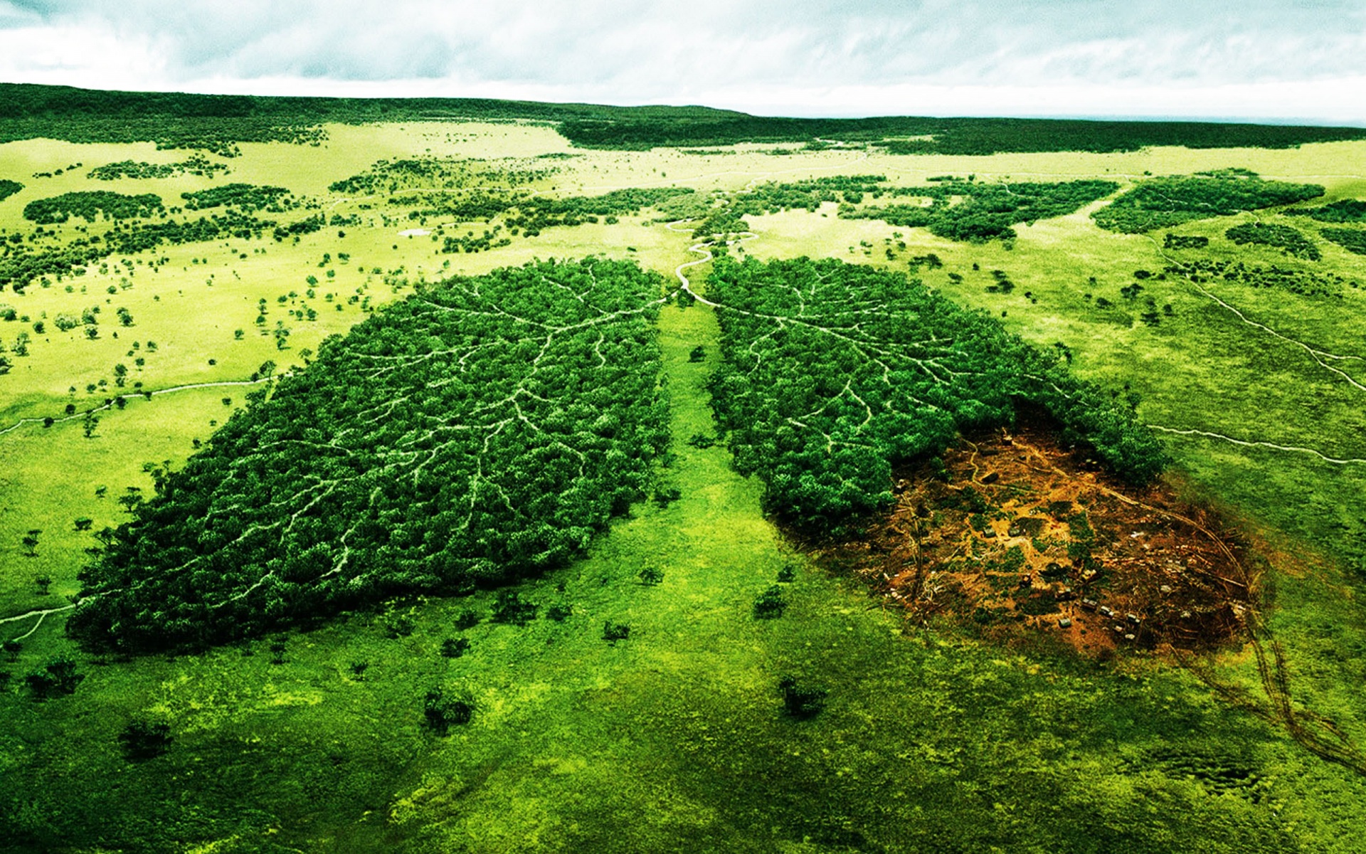 Environnement, les français s&rsquo;inquiètent