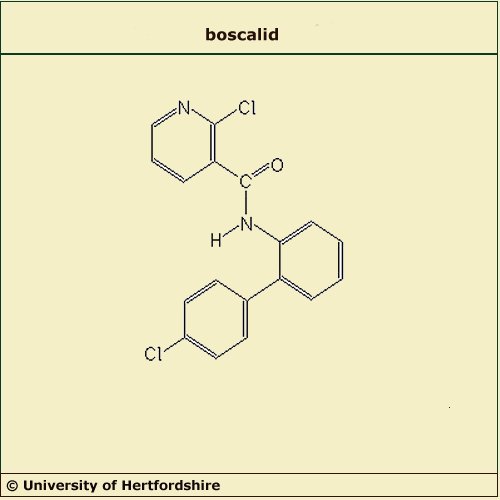 Boscalid : un fongicide trop présent