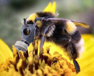 ob_d64e44_abeille-en-danger