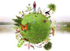 biodiversite