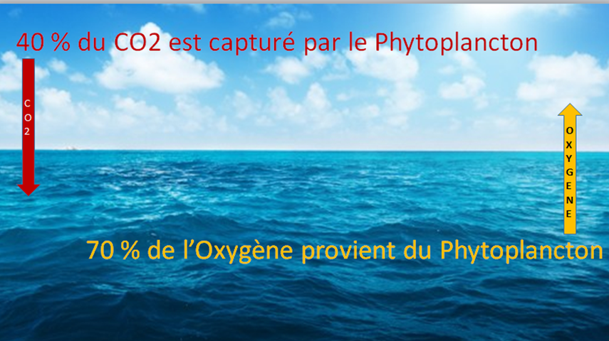 un chiffre important : 400 ppm