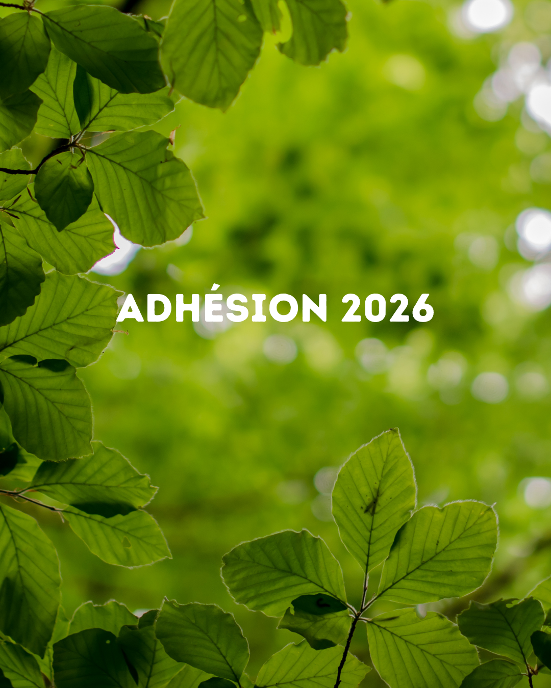 Adhésion 2026